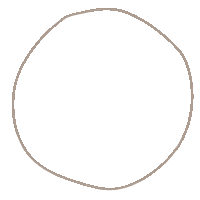 Circle Lines Sticker by Runway Bandits