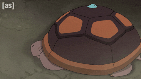 Turtle Tortoise GIF by Adult Swim