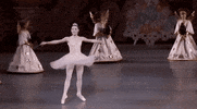 lincoln center dance GIF by New York City Ballet