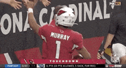 Regular Season Football GIF by NFL