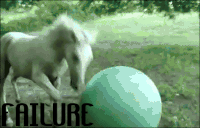 failure GIF