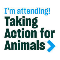 Tafa Sticker by Humane World for Animals