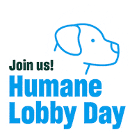 Tafa Sticker by Humane World for Animals