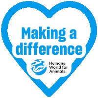 Expo Animalcare Sticker by Humane World for Animals