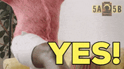 5A5Bseries love yes comedy nyc GIF