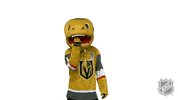 Ice Hockey Sport GIF by NHL