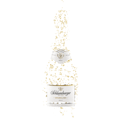 SchlumbergerSekt giphyupload celebration cheers new year Sticker