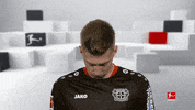 Bayer 04 Hello GIF by Bundesliga