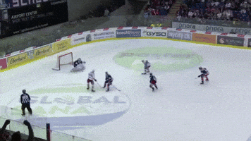 hockey rappi scrj rapperswil aufstieg GIF