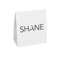 Paper Bag Shopping Sticker by SHANE