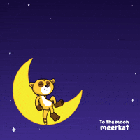 To The Moon Yes GIF by VeeFriends