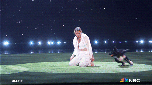 Episode 19 Nbc GIF by America's Got Talent