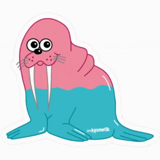 imkosmetik giphyupload морж морик GIF