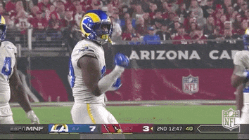 Los Angeles Rams Football GIF by NFL