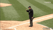 414098 GIF by MLB