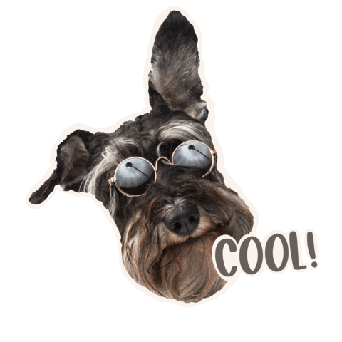 Best Friend Yes Sticker