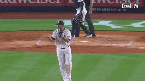 New York Yankees Applause GIF by MLB