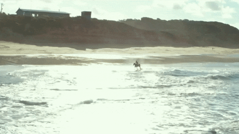 Beach Horse Riding GIF by Transmission Films