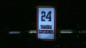 indiana fever GIF by WNBA