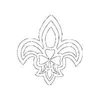scoutingireland scouting ireland irish scouts scoutingireland ireland scouts Sticker