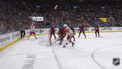 Happy National Hockey League GIF by NHL