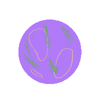 rosecartwrightillustration rainbow weird circle random Sticker