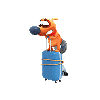 Summer Flying Sticker by Pat The Dog