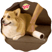 Scotchbrite Sticker by 3M