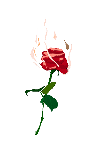 valeriapomales giphyupload love fire rose Sticker