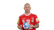 Handball_Austria robert weber aut ohb Sticker