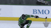 happy ice hockey GIF by NHL