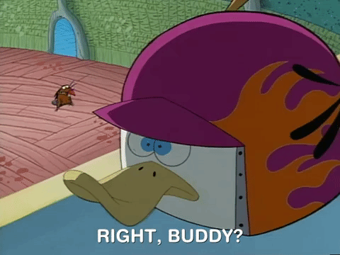 nickrewind giphydvr nicksplat angry beavers giphyab031 GIF
