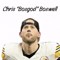 Pittsburgh Steelers GIF