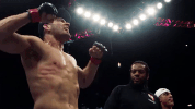ufc 210 GIF