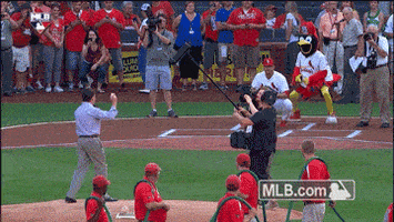 stl GIF by MLB