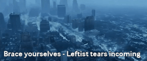 flood kavanaugh GIF