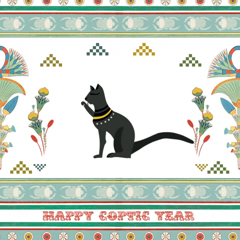 AboHashemArt giphyupload art animation design GIF