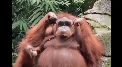 djbillydakid  GIF