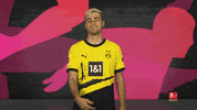Come Here Borussia Dortmund GIF by Bundesliga