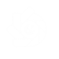 Photography Sticker