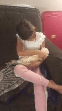Young Girl Cuddles With Sleeping, Glasses-Wearing Chicken in South Jordan, Utah