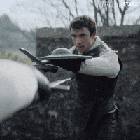Jamie Parker Fight GIF by Becoming Elizabeth