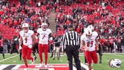 Usa Jags GIF by South Alabama Jaguars
