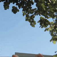 viber fight girl film angry GIF