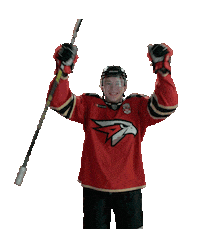Goal Hockey Sticker by Avangard