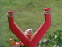 action league now nicksplat GIF