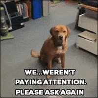 Not Paying Attention Ask Again GIF