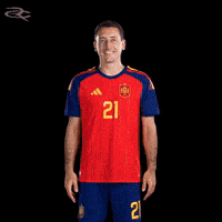 Fifa World Cup Spain GIF by Respective