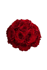 Rf Sticker by Rookery Flowers