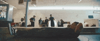 around the world and back GIF by State Champs